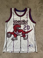 Toronto Raptors NBA Champion