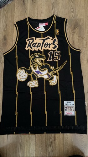 Toronto raptors nba basketball - toronto,
